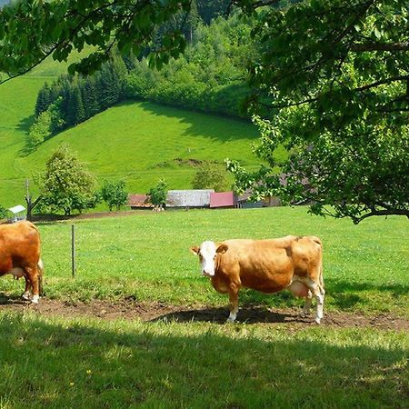 Apartmán Ziegelhof Schuttertal Exteriér fotografie