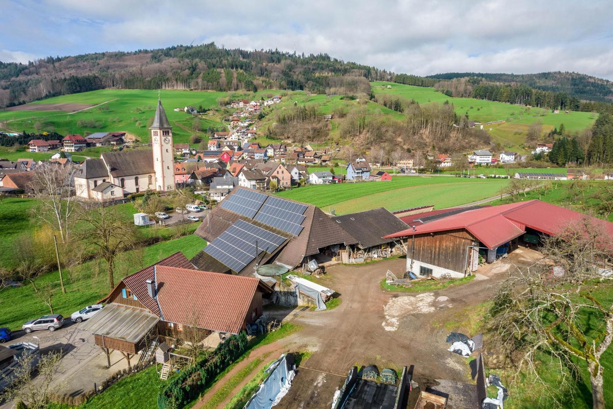 Apartmán Ziegelhof Schuttertal Exteriér fotografie