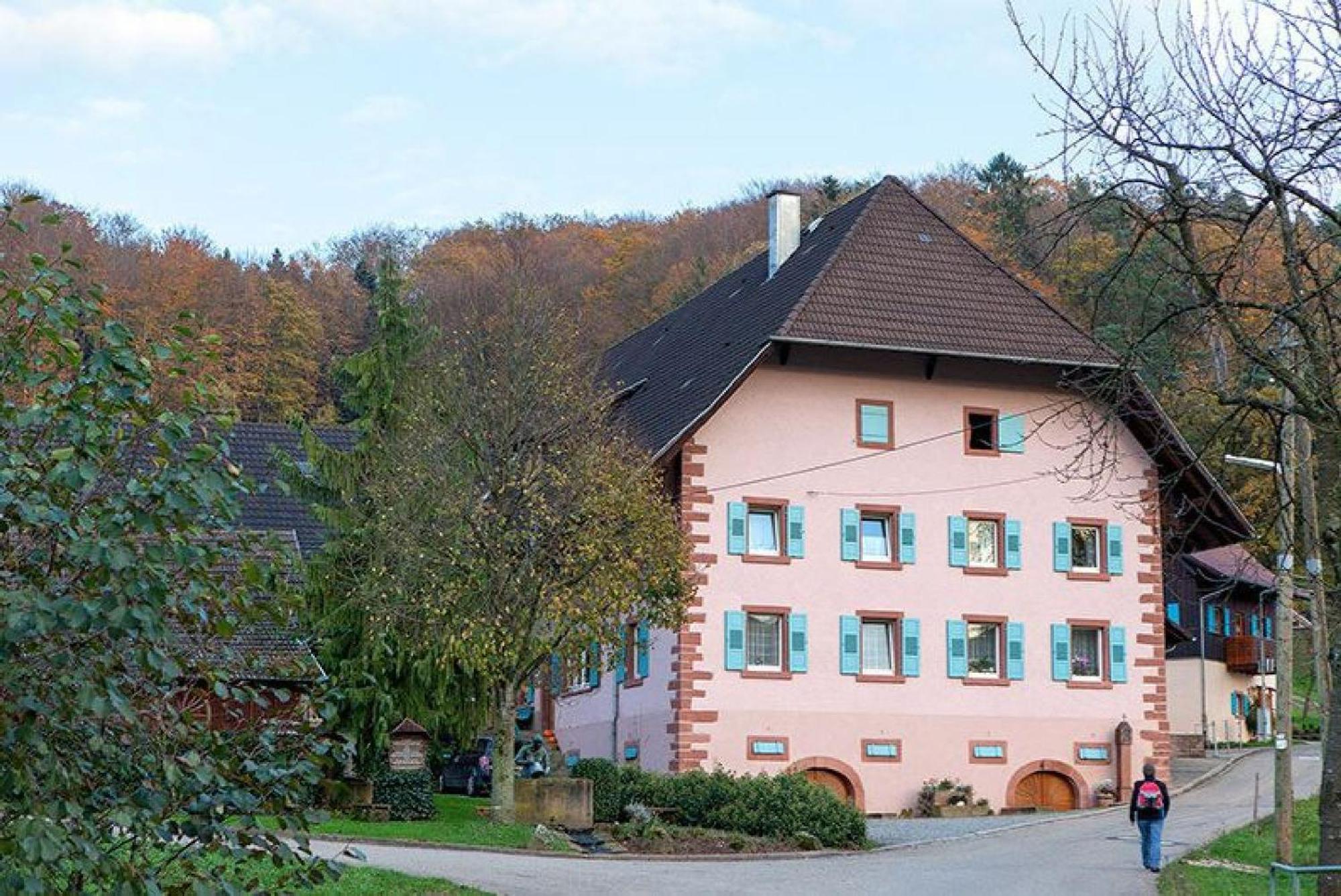 Apartmán Ziegelhof Schuttertal Exteriér fotografie